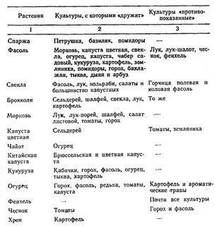 Севооборот картофеля