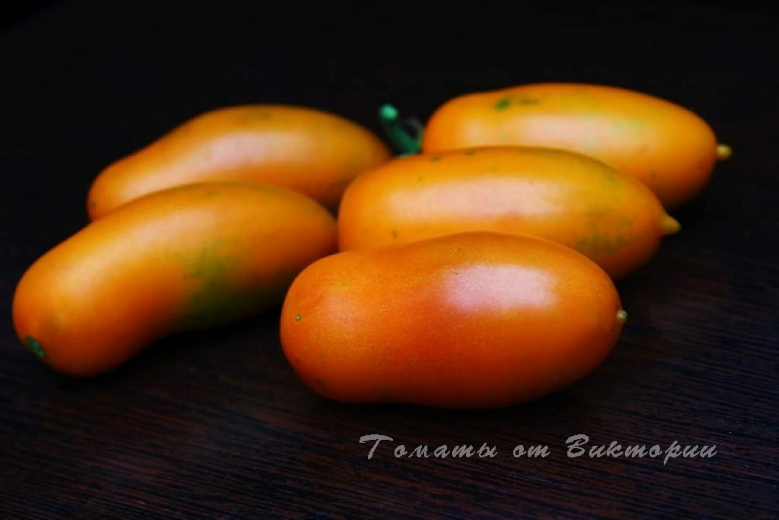 Томат щедрость. Томат бычий глаз. Томат щедрость. Томат белый налив русский огород. Томат белый налив 200 нк.