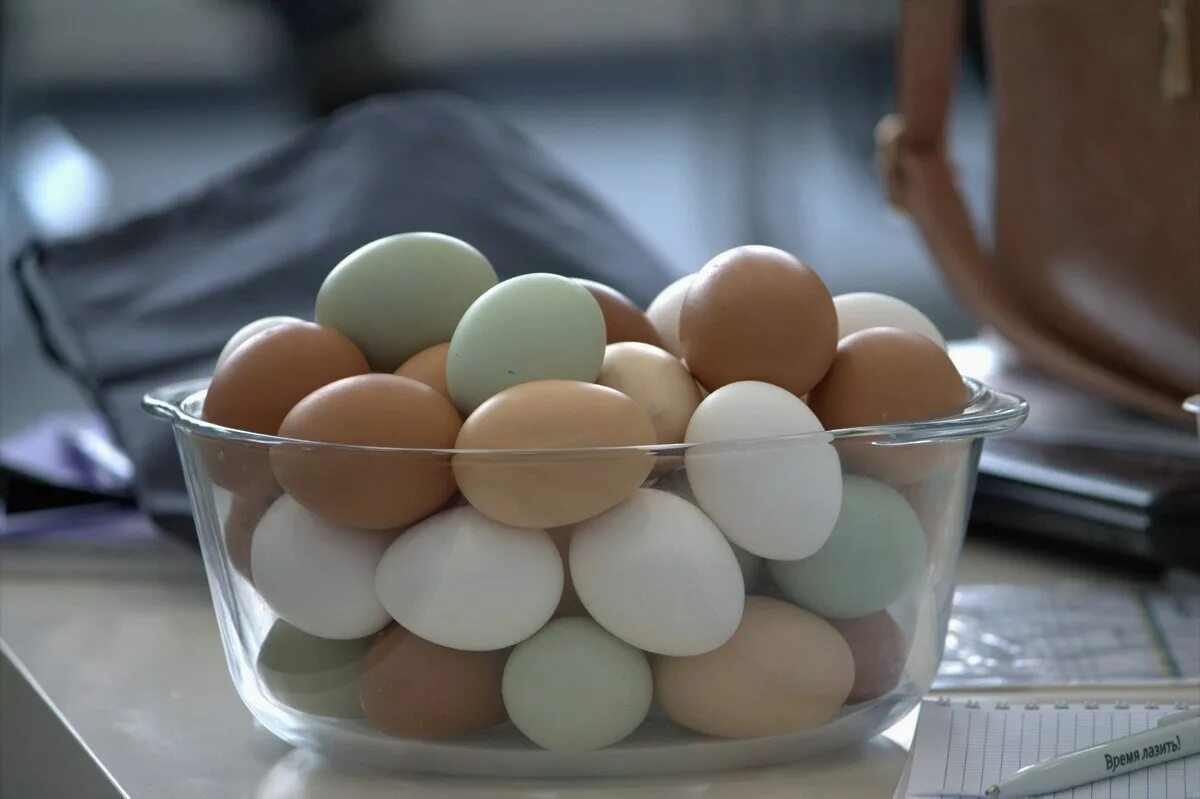 Яйца лучше купить. Цветные яйца куриные. Американцы яйца. Разные сорта яиц. Хорошие яйца.