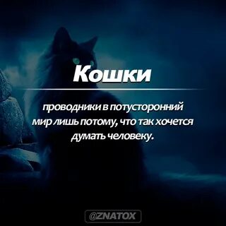 Проводник в мир