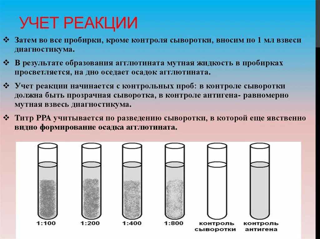 Проба сыворотки