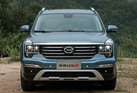 Газ gs 8