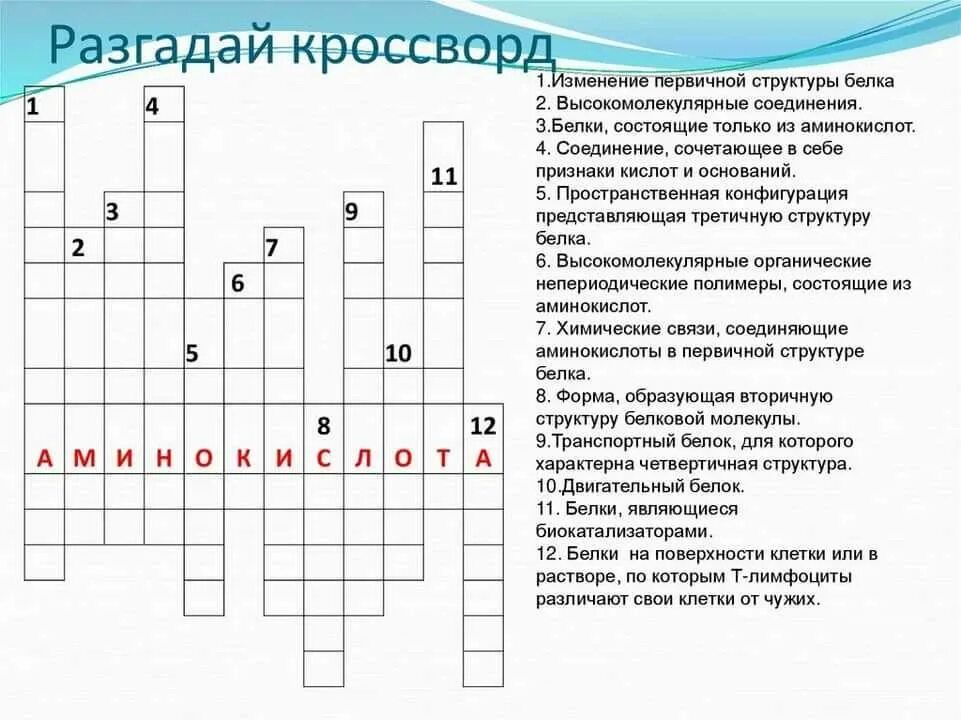 Кроссворд на тему белки жиры и углеводы с ответами. Кроссворд по химии на тему органическая химия. Кроссворд липиды. Строение клетки 5 класс биология кроссворд. Углеводы кроссворд с ответами.