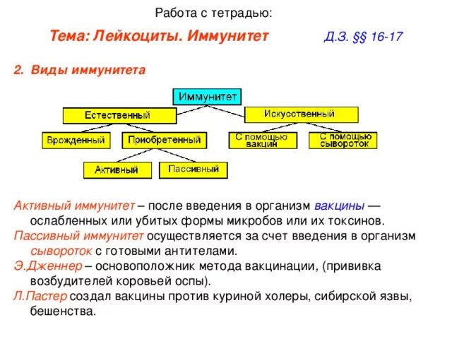 Внутренняя среда организма. Внутренняя среда значение крови и ее состав 8 класс. Клеточный иммунитет это в биологии. Схема образования клеток крови и иммунной системы. Лимфоциты строение и функции.