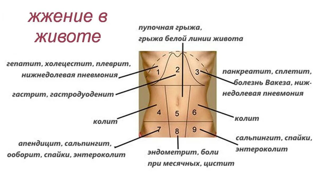 Болит снизу живота у девушки. Болит левая сторона живота снизу. Почему болит живот снизу слева. Левый бок низ живота болит у женщин. Боль справа внизу живота у женщин.