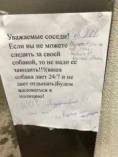 Соседская собака постоянно лает мешает спать