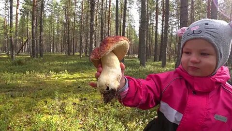 Верный грибы