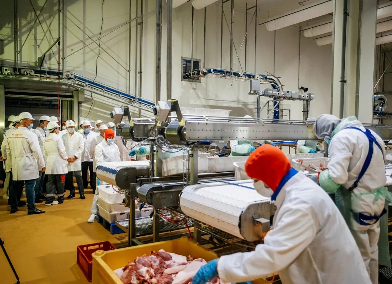 Мираторг курская область. Завод мираторг в курске. мираторг черницыно курская область. курская область октябрьский район с черницыно мираторг. мираторг курск черницыно.