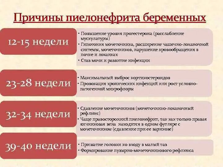 Пиелонефрит 2 триместр. Пиелонефрит при беременности 2 триместр симптомы. Симптомы пиелонефрита при беременности в 3 триместре. Причины гестационного пиелонефрита. Пиелонефрит причины заболеваемости.