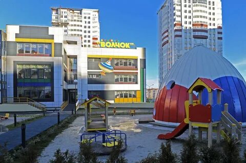 Садик волчок