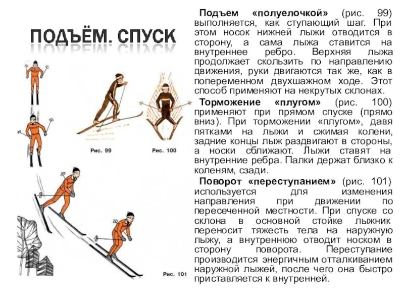 Подъем шагом. Способы подъемов и спусков на лыжах. Спуски и подъемы на лыжах. Способы преодоления подъемов и спусков. Спуски и подъемы на лыжах кратко.