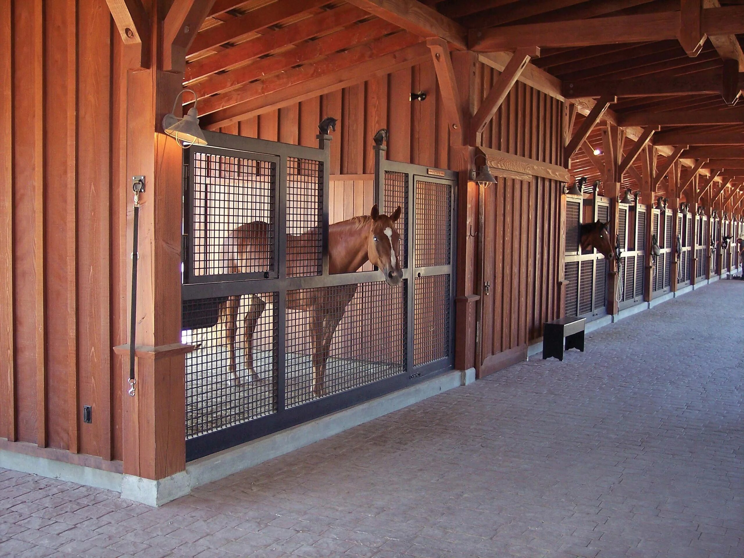 Конюшня 6 букв. Денники в конюшне. КСК Конкорд денники. Конюшня Solana stables. Денник для лошади.