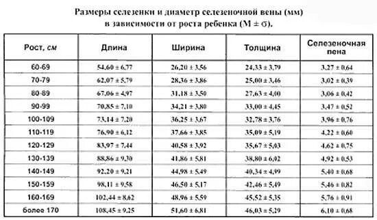 Какие нормы печени должны быть. Площадь селезенки на УЗИ норма. Размер селезенки норма у взрослых мужчин по УЗИ В мм. Размеры селезенки в норме у взрослых по УЗИ В мм. Норма селезенка у детей УЗИ.