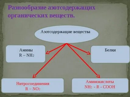 Азотсодержащие соединения химия
