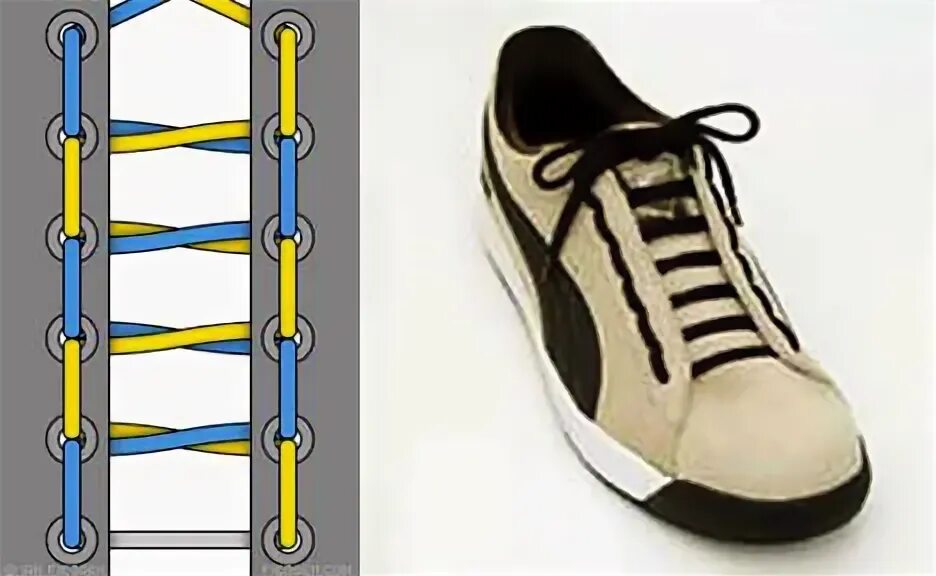 Как шнуровать кроссовки с 2 дырками. Шнурки зашнуровать 6 дырок. Красиво зашнуровать шнурки на кроссовках 7 дырок. Красиво зашнуровать шнурки на кроссовках на 6 дырок. Красиво зашнуровать кроссовки мужские на 6 дырок.