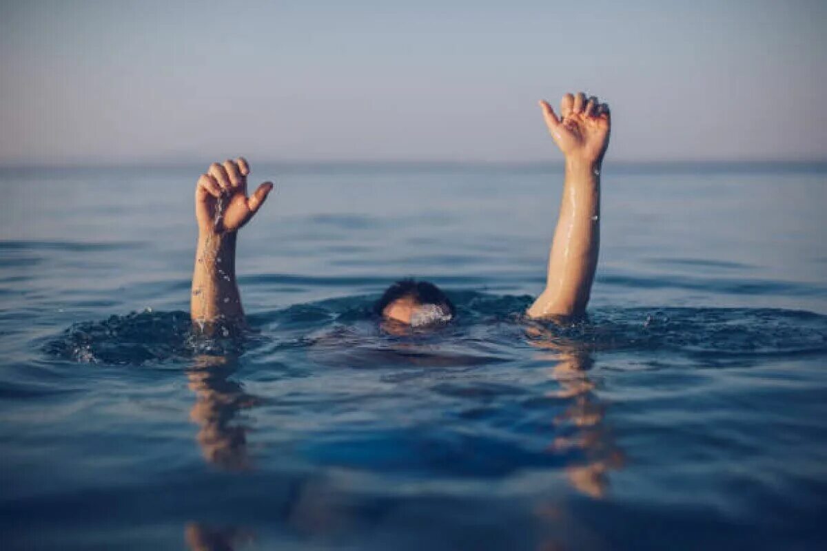 Утонет или будет плавать в воде