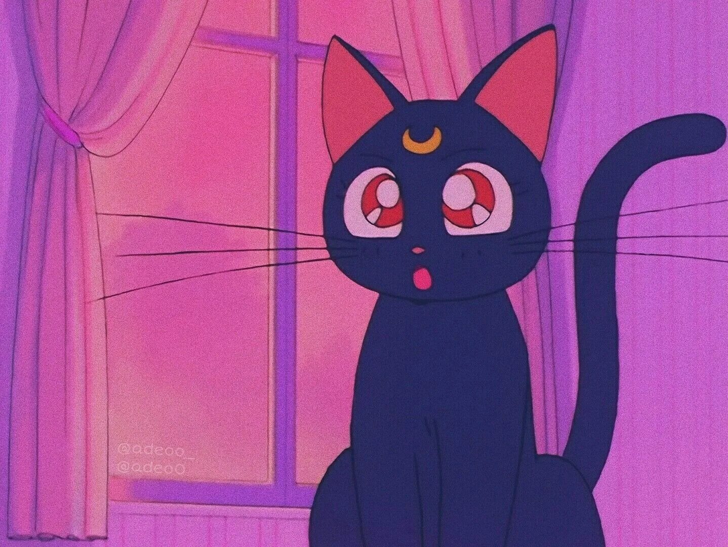 Сейлормун Луна. Кошка Луна из сейлормун. Сейлормун кошка Луна. Sailor Moon кошка. Кошка муна