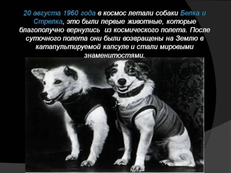 Исследование космоса в ссср 4 класс. Исследование космоса в СССР. Факты об исследовании космоса в СССР. Исследование космоса в СССР фаты. Исследование космоса в СССР 2-3 факта.