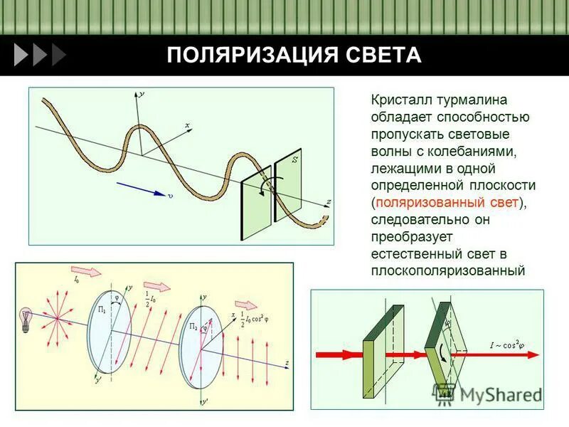 Электрическая поляризация это