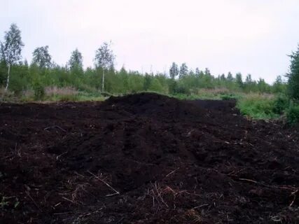 Где земля плодородная