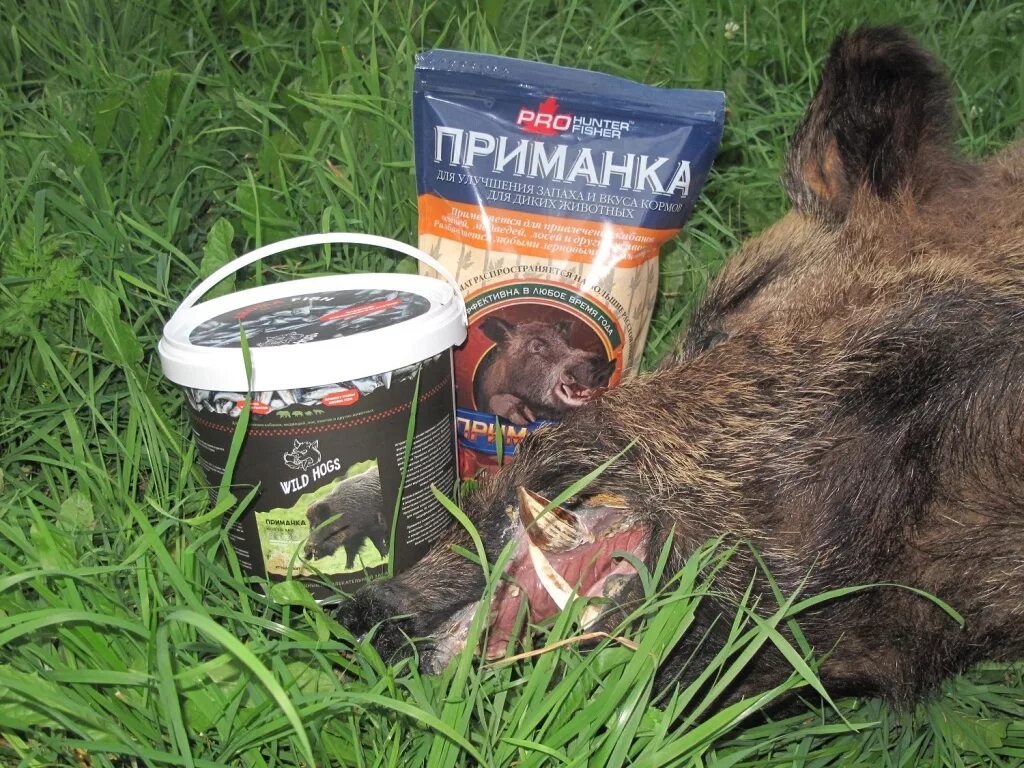 Корм для диких животных. Приманка на дикого кабана. прикормка для кабана. прикормка для диких кабанов.