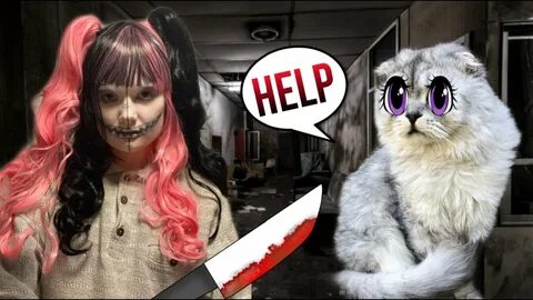 Кошачья история ужасов