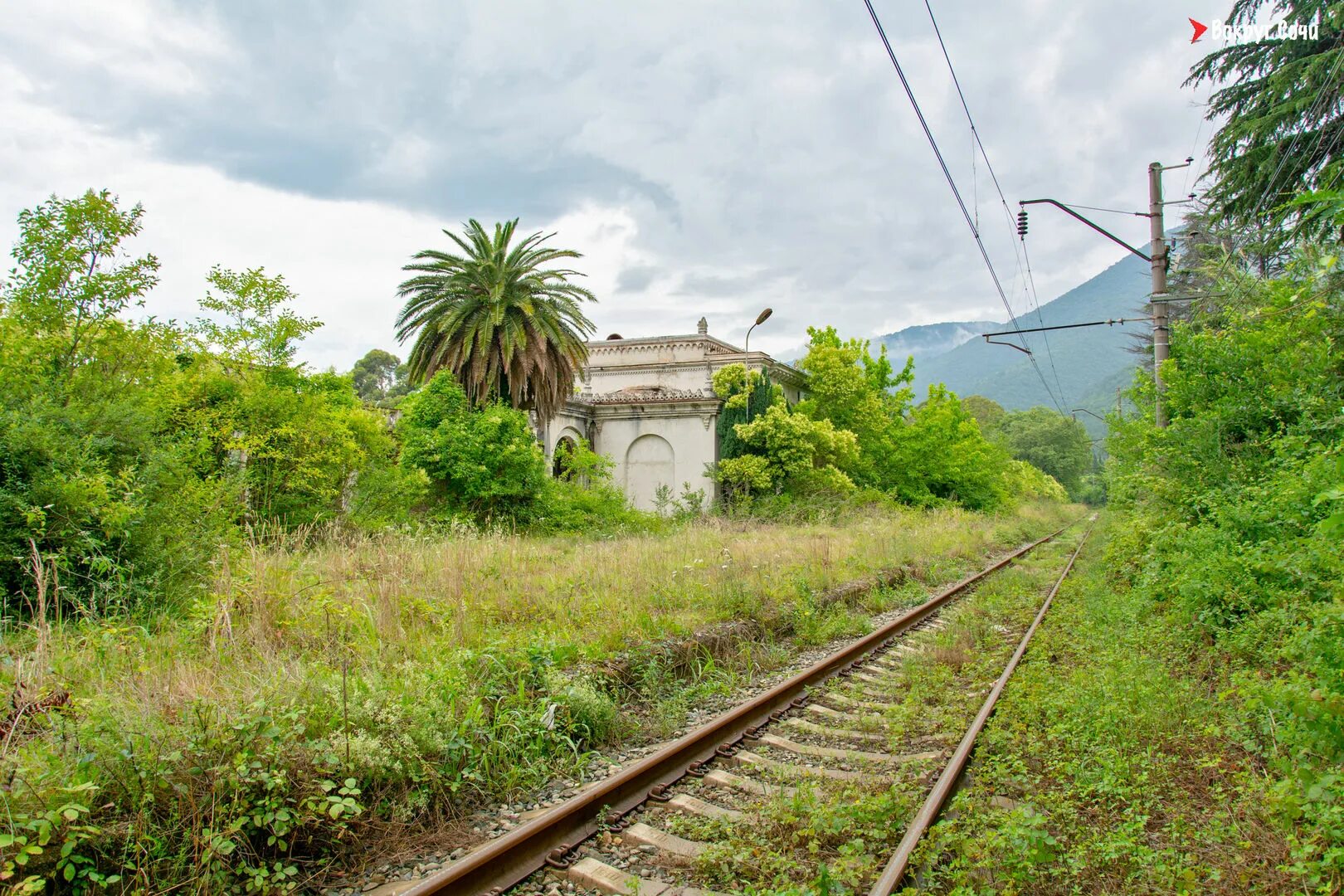 Ретро поезд туапсе гагра. Гагры Абхазия железная дорога. Железная дорога Адлер Сухум. Поезд Адлер Гагра. Дорога Гагра Сухум.
