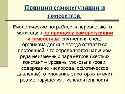 Саморегуляция организма