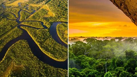 Development Or Survival Brazil S Amazon Rainforest Is Paying The.