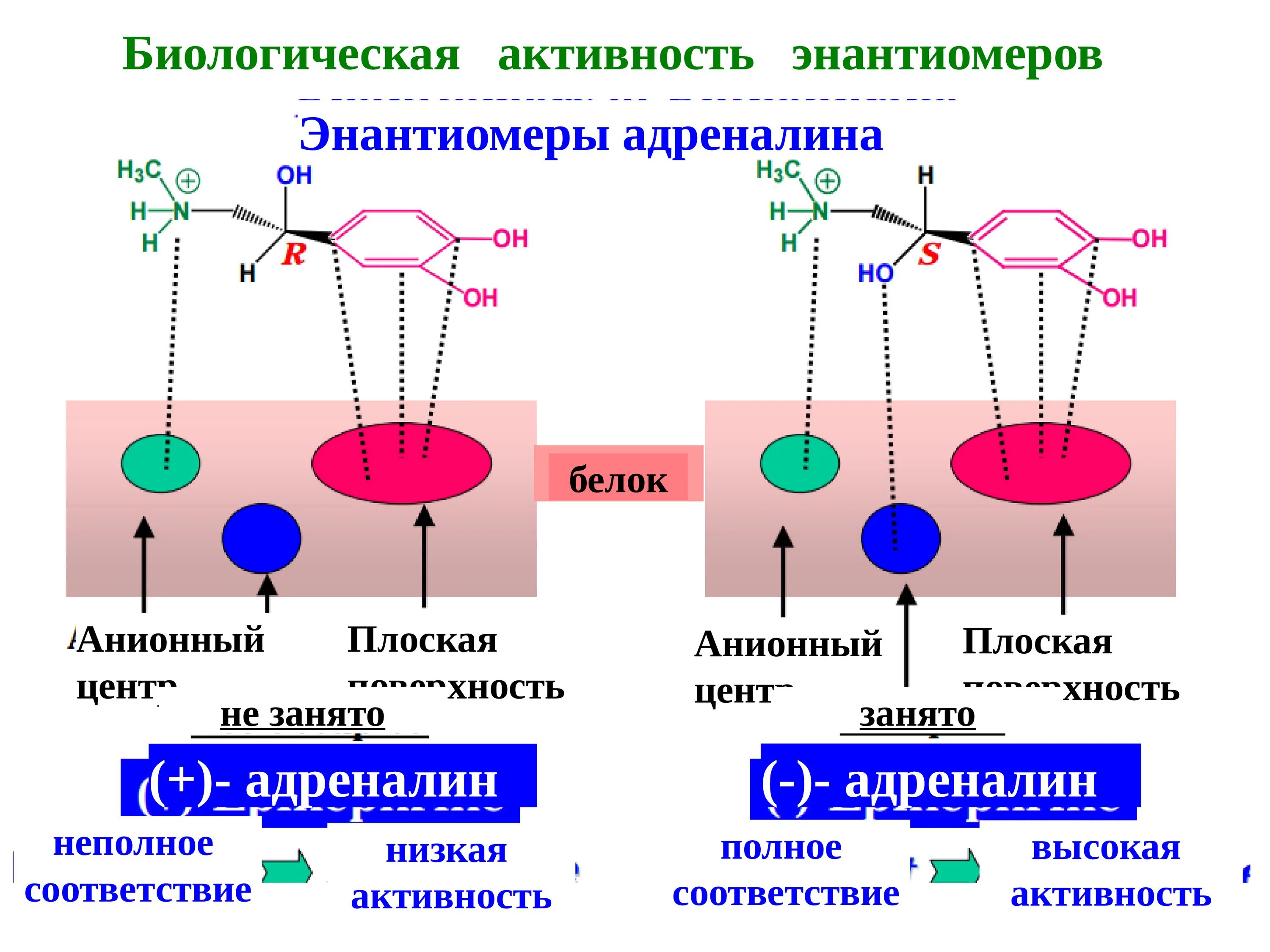 Биологические типы веществ. Энантиомеры. Энантиомеры это в химии. Энантиомеры примеры соединений. Биоорганическая химия.