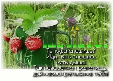 Шел последний месяц лета