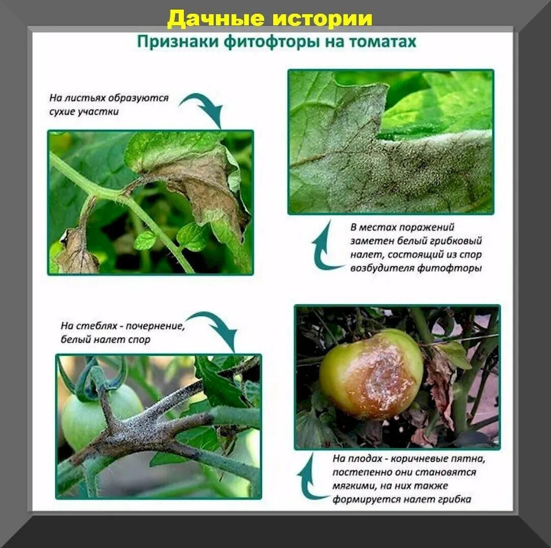 Почему не показывает лист