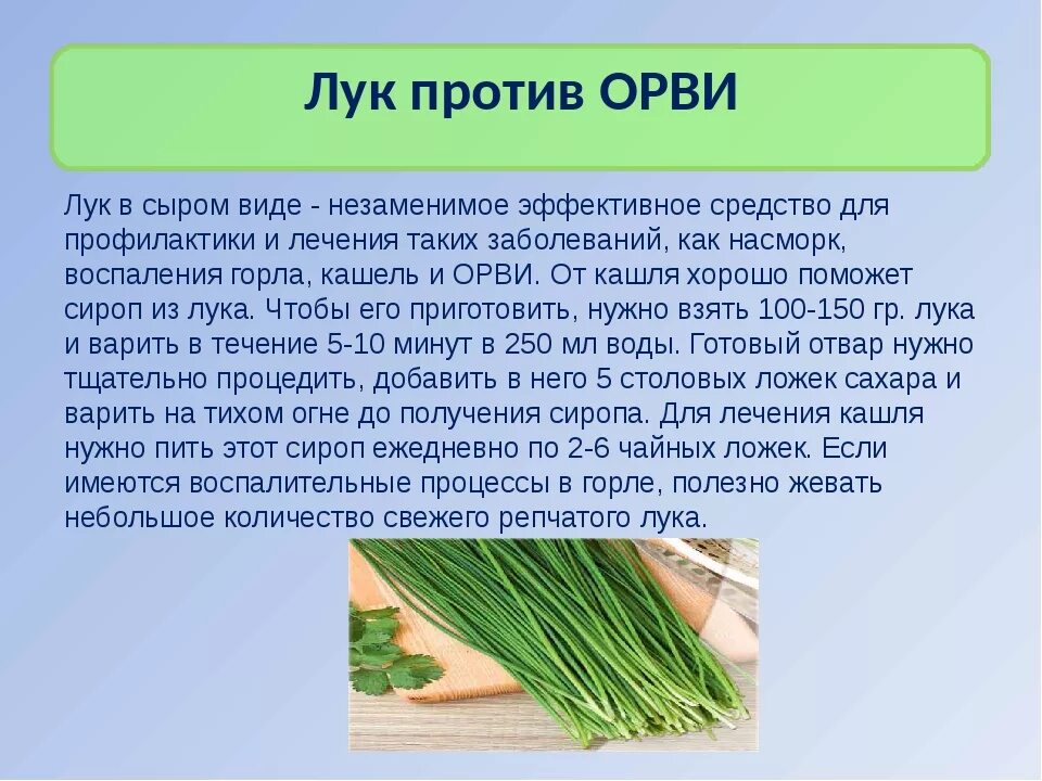 Лук можно употреблять в пищу. Чем полезен зелёный лук для организма. Чем пооещен зелёный лук. Чем полезен зеленый лук для человека.