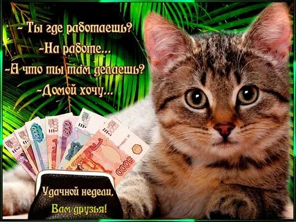 Гифки хорошей работы