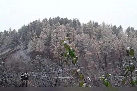 Гидрометцентр забайкальский край прогноз