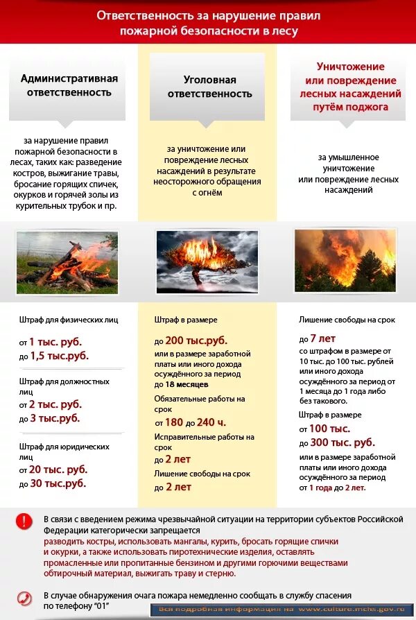 Административные статьи за нарушение пожарной безопасности. Ответственность за нарушение правил пожарной безопасности. Памятка правил пожарной безопасности в лесах. Нарушение правил пожарной безопасности в лесах. Нарушение пожарной безопасности в лесу.