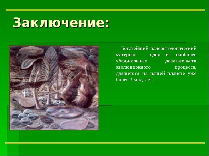 Доказательства эволюции палеонтологические доказательства. Палеонтология растений. Палеонтологические формы. Доказательства палеонтологии.