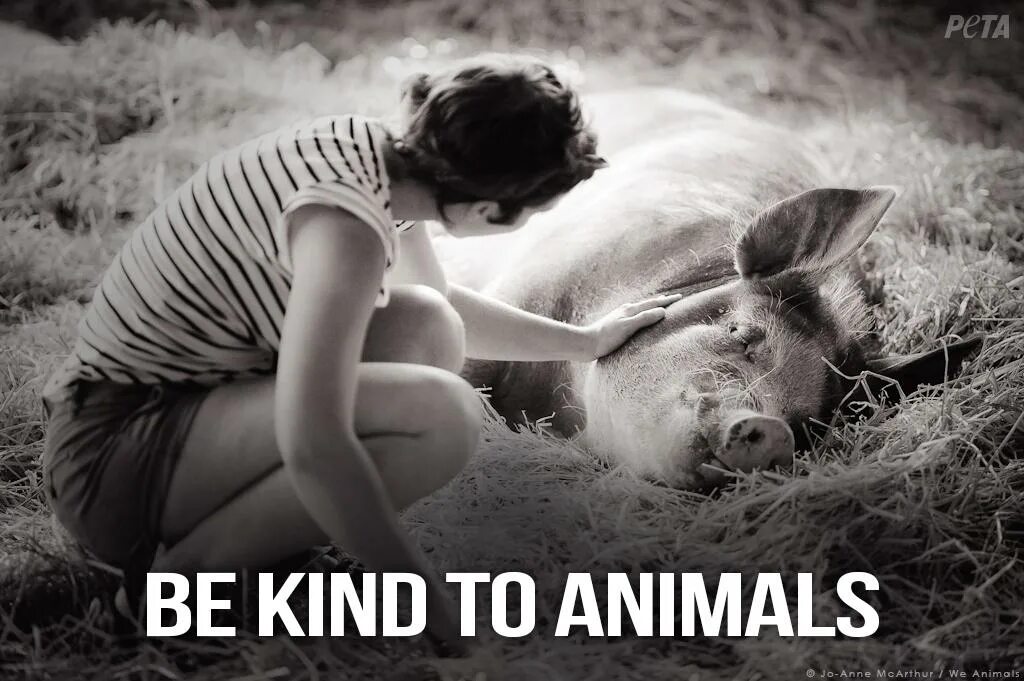 Be kind to animals. Be kind картинка. Kind to animals. Be kind to one another animals.