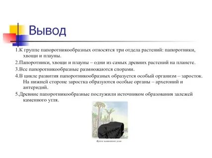 Характеристика плаунов и хвощей 7 класс