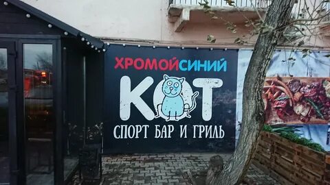 Reviews about Хромой Синий Кот, Pavlodar oblysy, Ekibastuz, Mashkhur Zhusip Stre