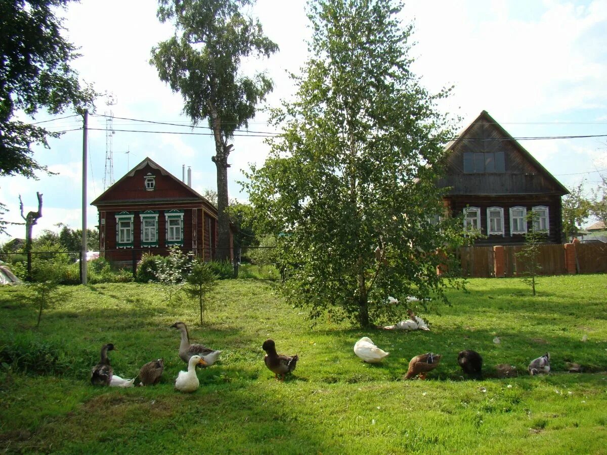 Милашки село. Эх деревня деревенька. Деревня деревенька Тверская область. Деревенский домик. Лето в деревне.