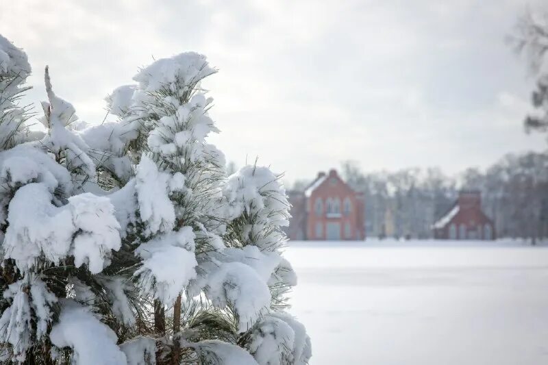 почему снег белый. где можно увидеть снег. люди идут зима ватрушки. где можно увидеть снег. картинка долгожданная зима.