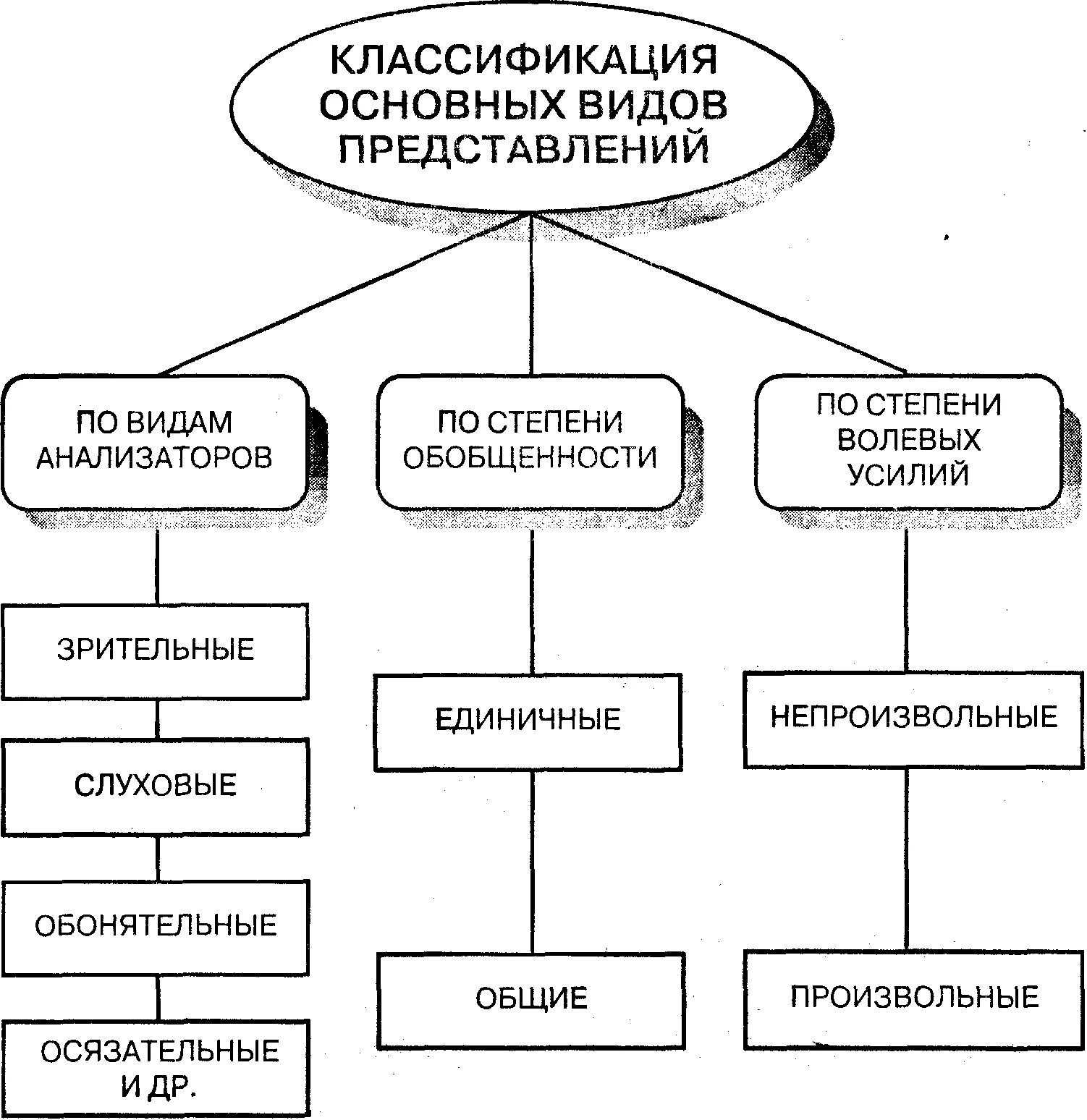 Представления их виды