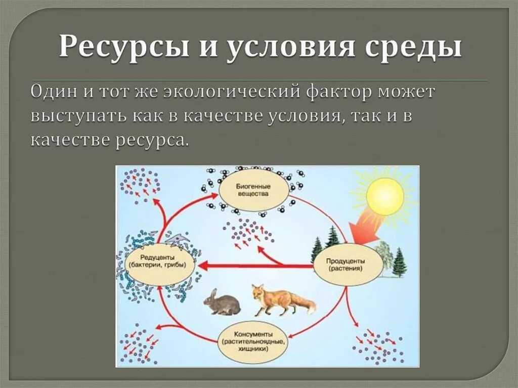 Что будет в следующую среду