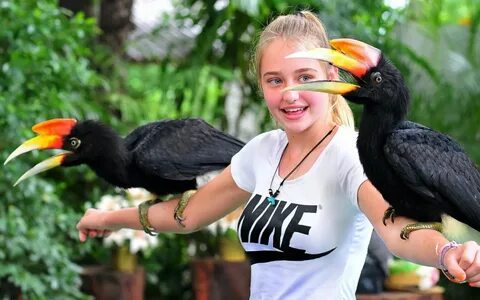 Скажи тай