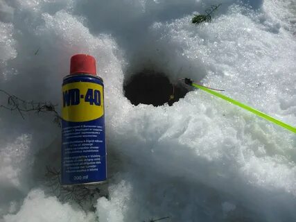 40 рыболов