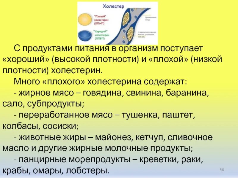 Холестерин вред и польза. Польза и вред холестерина. Плохой холестерин плотности. Польза от сала для организма. Холестерин пищи поступает в кровоток в составе.