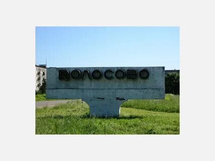 Погода в волосово на 14