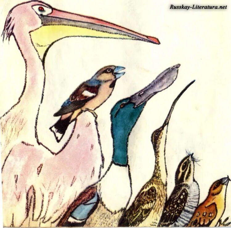 чей нос лучше краткое содержание. чей нос лучше бианки читательский дневник. чей нос лучше краткое содержание. бианки в. чей нос лучше краткое содержание.