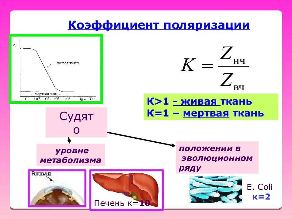 Показателя поляризации. Коэффициент поляризации. Коэффициент поляризации ткани. Коэффициент элиптичности поля. Поляризация коэффициент поглощения.